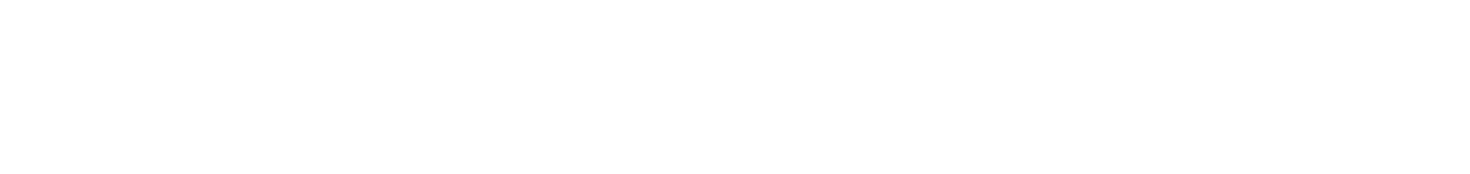 light logo